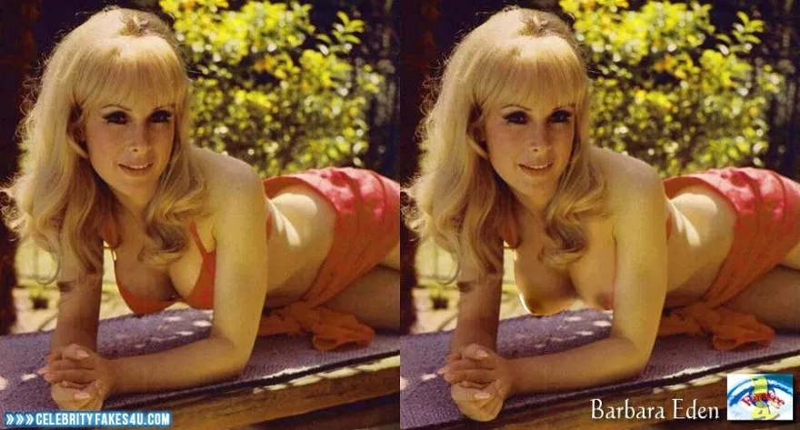 Barbara Eden Boobs I Dream Of Jeannie Naked 001 « Celebrity Fakes 4U