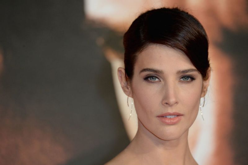 Cobie Smulders wore a sexy red carpet suit and it's ...