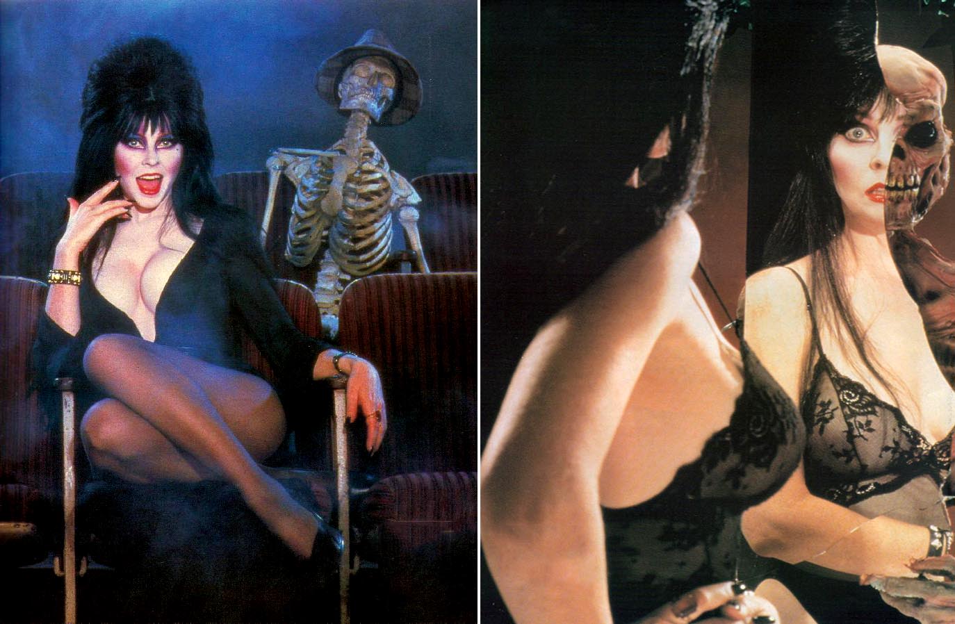 Elvira: An Illustrated History of The Mistress of the Dark - Flashbak