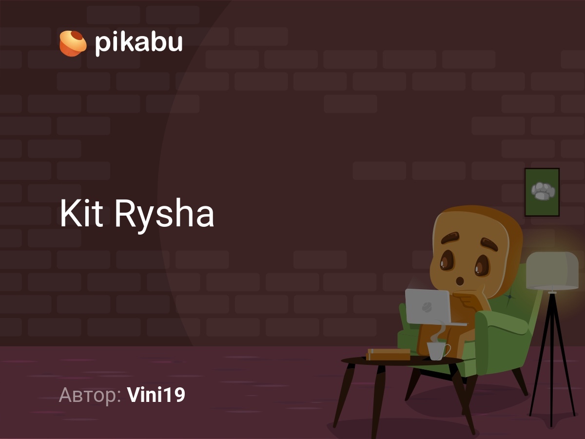 Kit Rysha | Пикабу