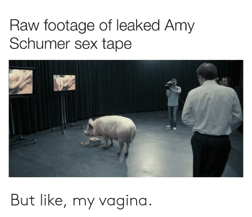 Raw Footage of Leaked Amy Schumer Sex Tape but Like My Vagina ...