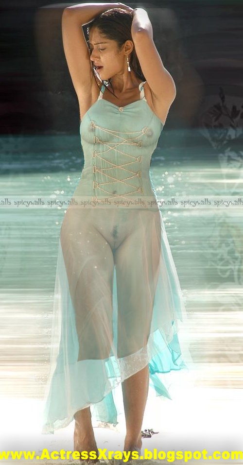 Amanda Blake Gunsmoke Actress Nude gallery-2754 | My Hotz Pic