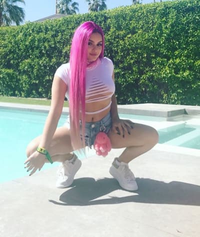 Ariel Winter Was Basically Naked at Coachella, and For That ...