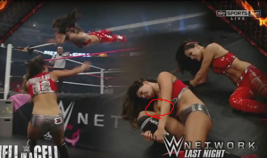 Nikki Bella's nip slip from Hell in a Cell - Imgur