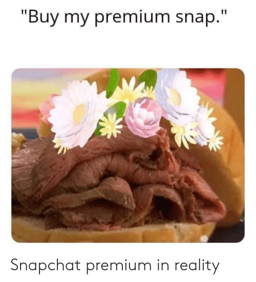 Buy My Premium Snap Snapchat Premium in Reality | Reddit Meme on ME.ME