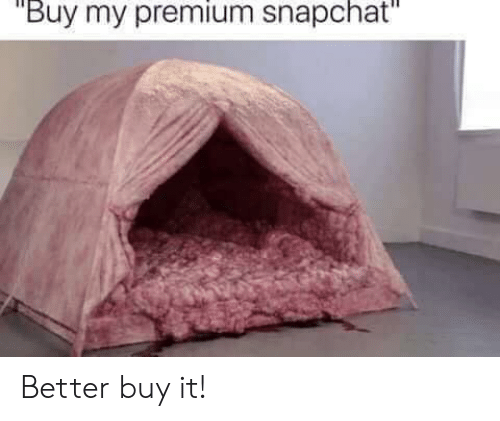 Buy My Premium Snapchat Better Buy It! | Reddit Meme on ME.ME