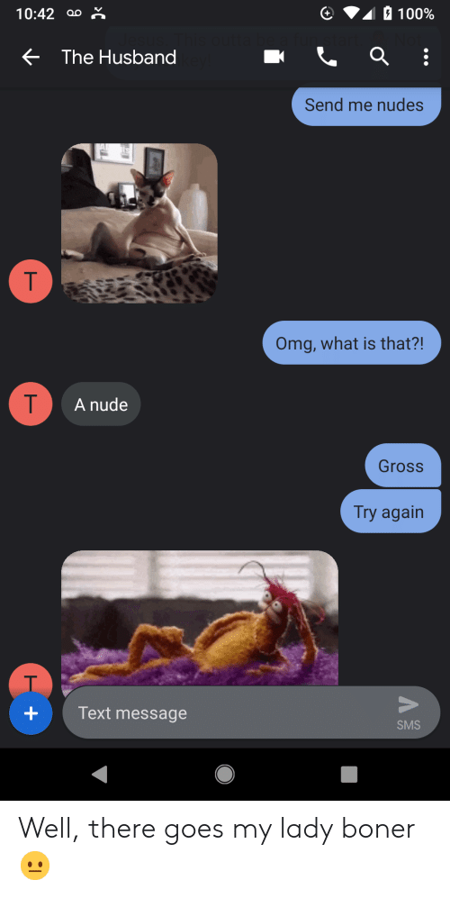 01 00% C 1042 Ao * the Husband Send Me Nudes Omg What Is That?! A Nude  Gross Try Again +Text Message SMS Well There Goes My Lady Boner 