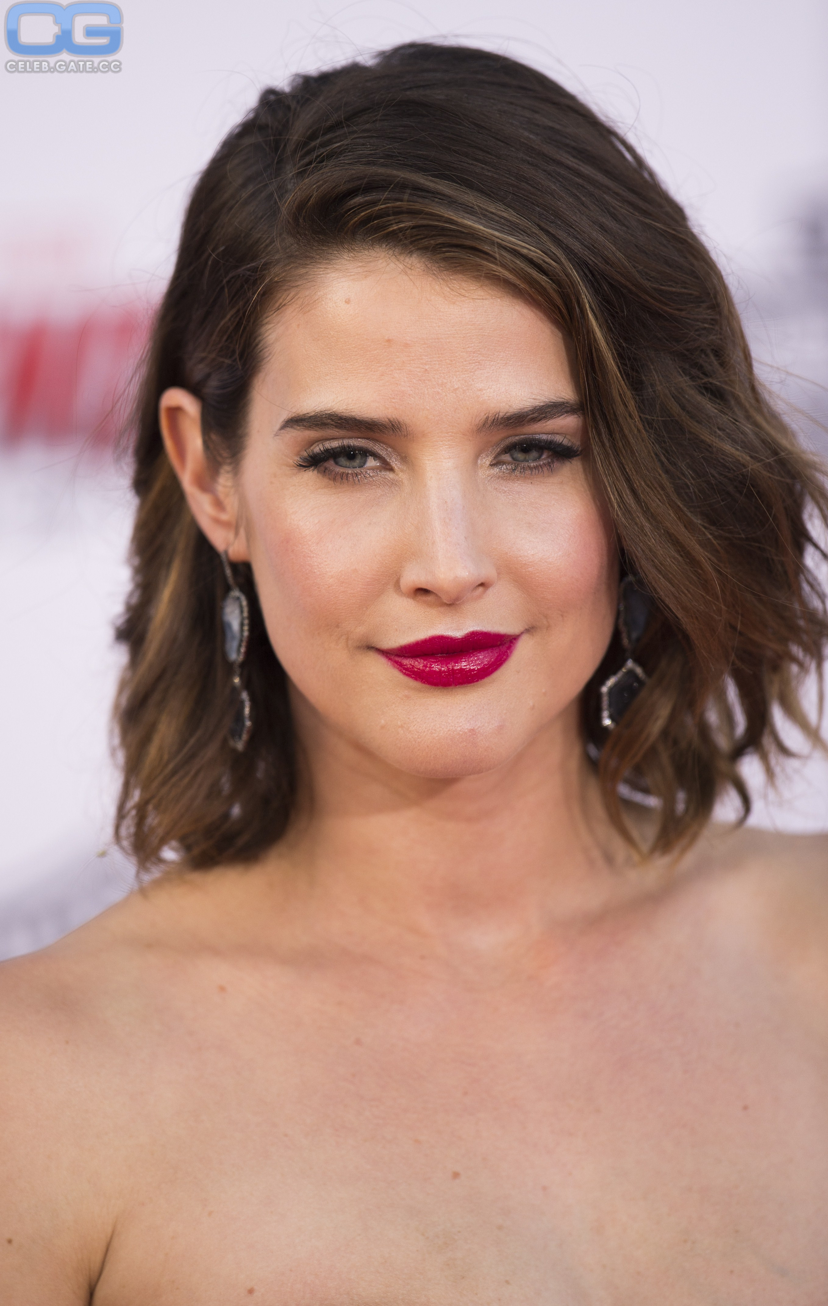Cobie Smulders nude, pictures, photos, Playboy, naked, topless, fappening